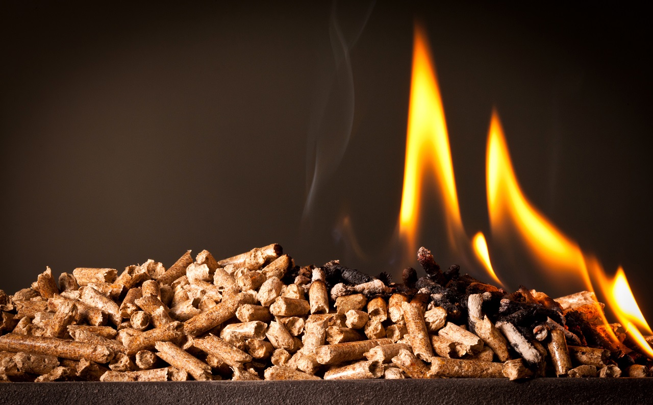 Czym palić w domu, aby było tanio i ekologicznie?